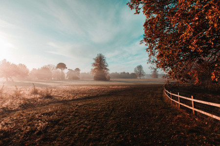 The Derby Festival (Epsom Derby)