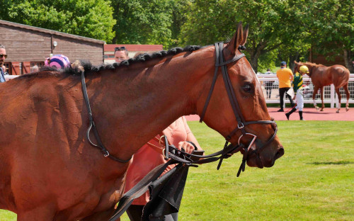 helicopter_relevance